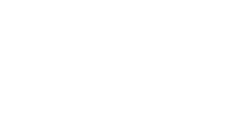 terraza pizza vino